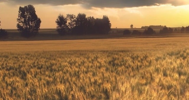 naturuel_corporacin_agroalimentaria_cover
