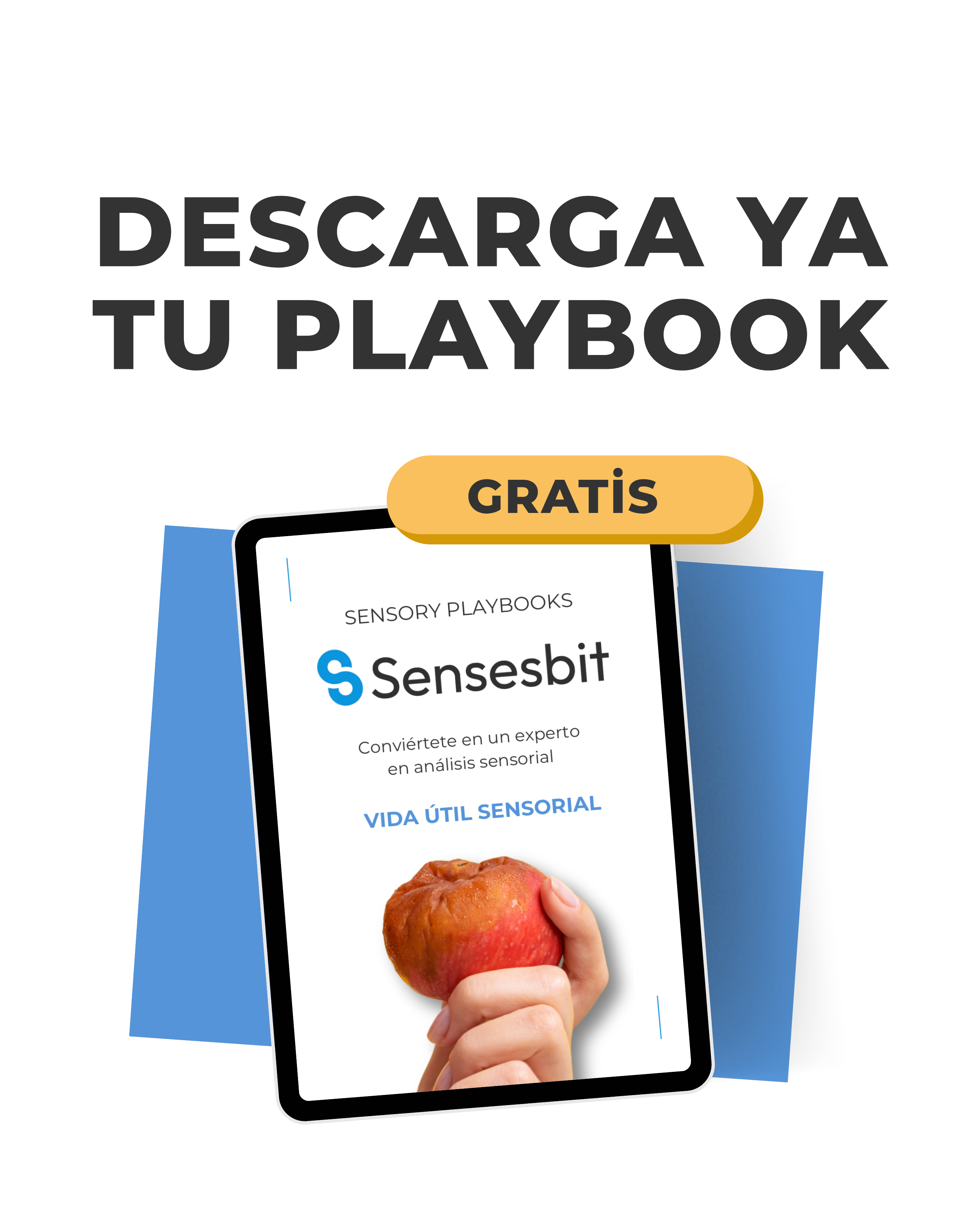 Playbook-sensorial