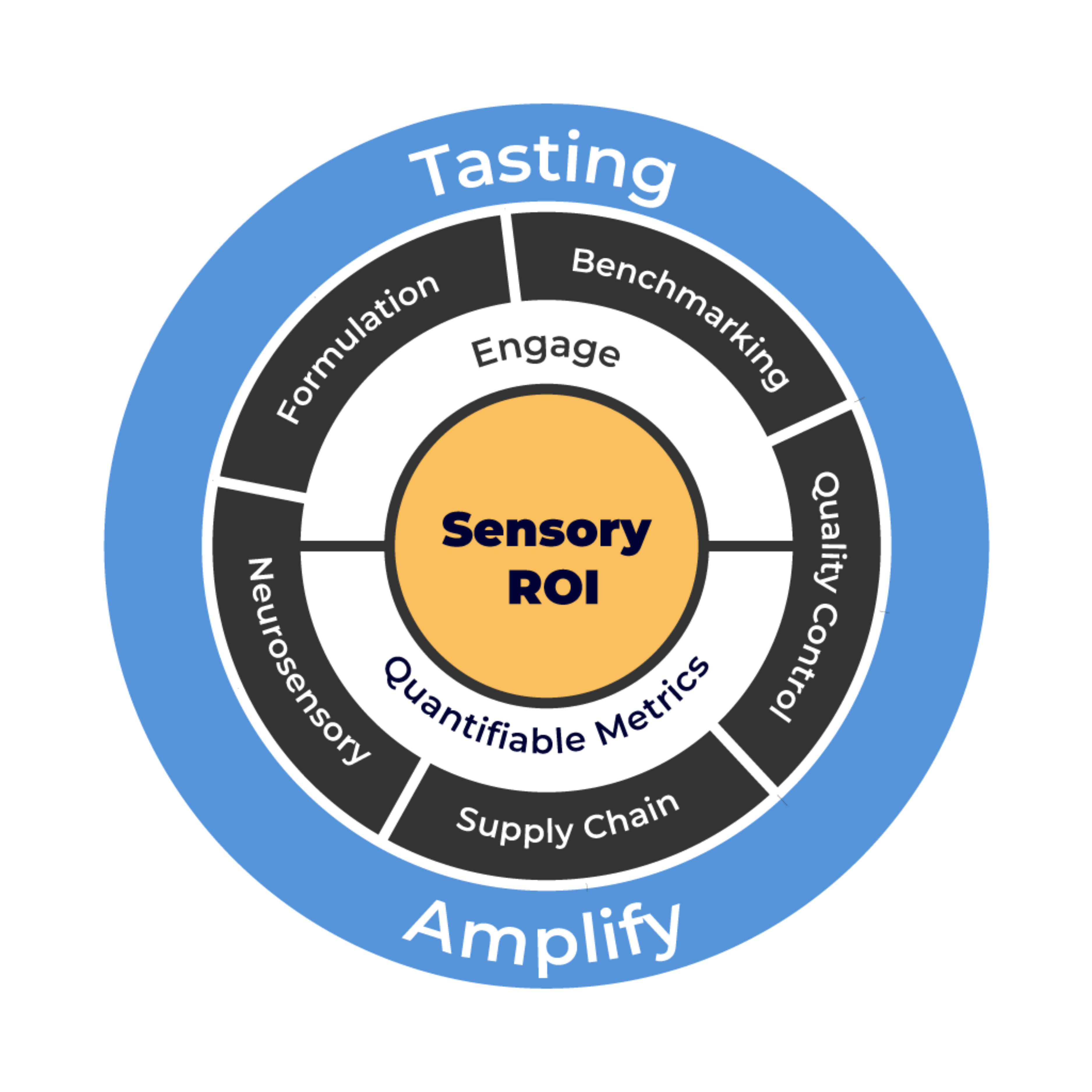 Sensory-ROI-Sensesbit