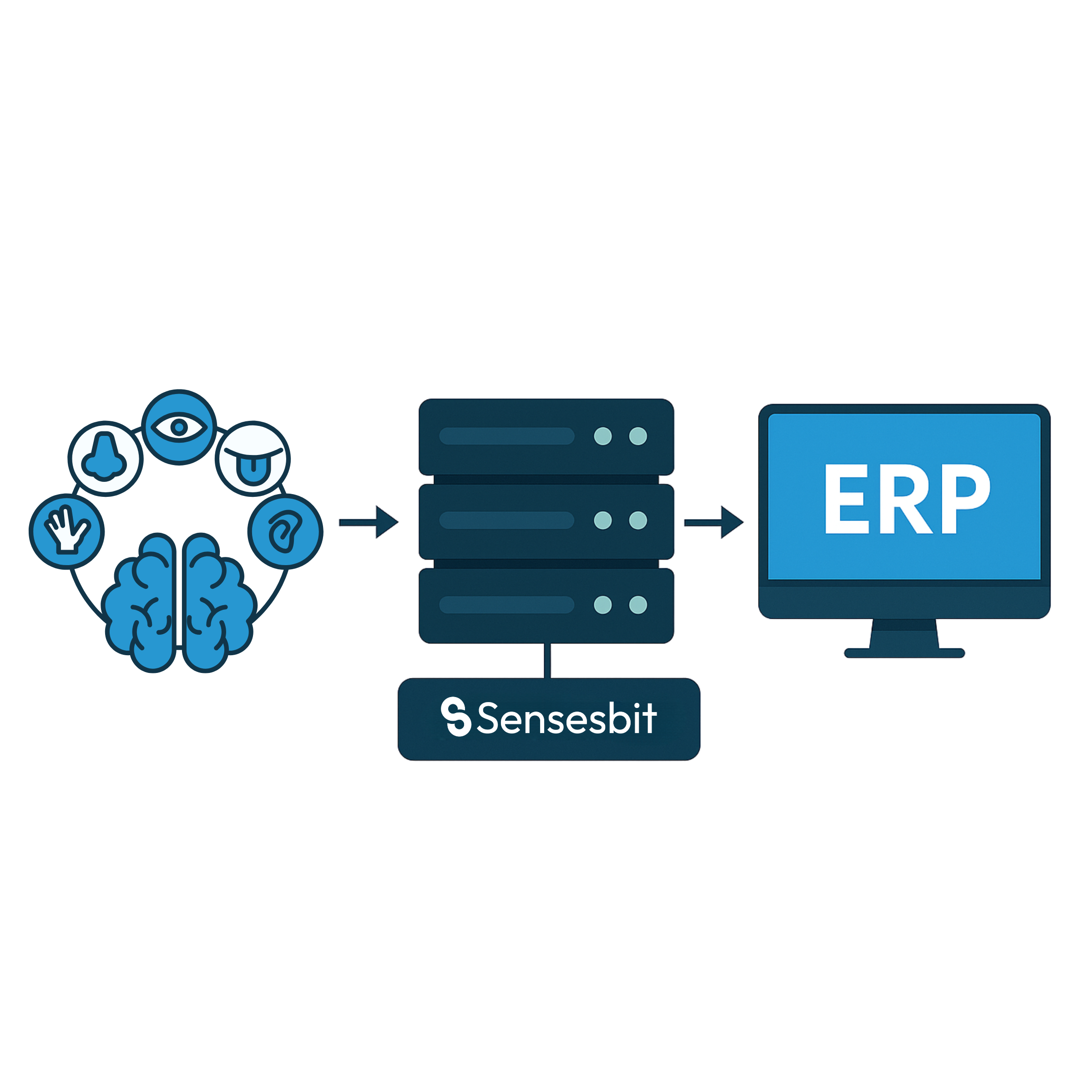 erp-sensesbit
