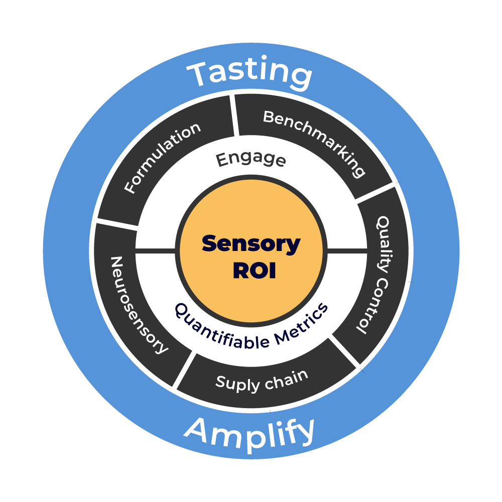 sensory-ROI-flywheel